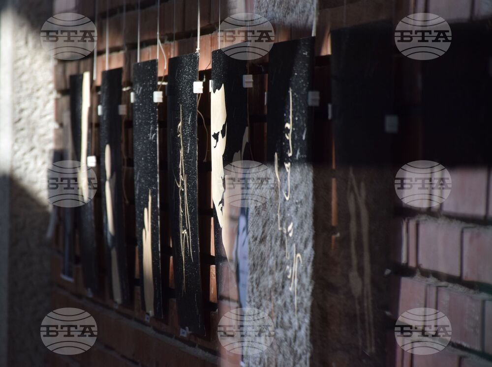 Благоевград - Петя Петкова - изложба