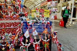 Варна - сурвачки