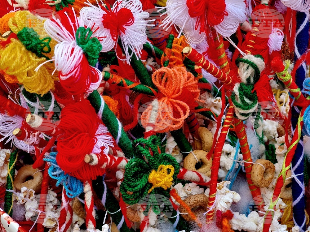 Варна - сурвачки