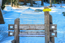Природен парк Витоша - зимен ден