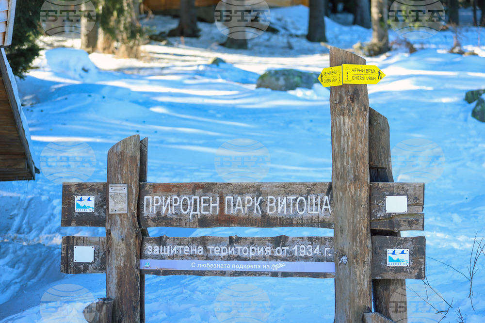 Природен парк Витоша - зимен ден