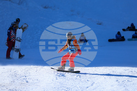 Природен парк Витоша - зимен ден