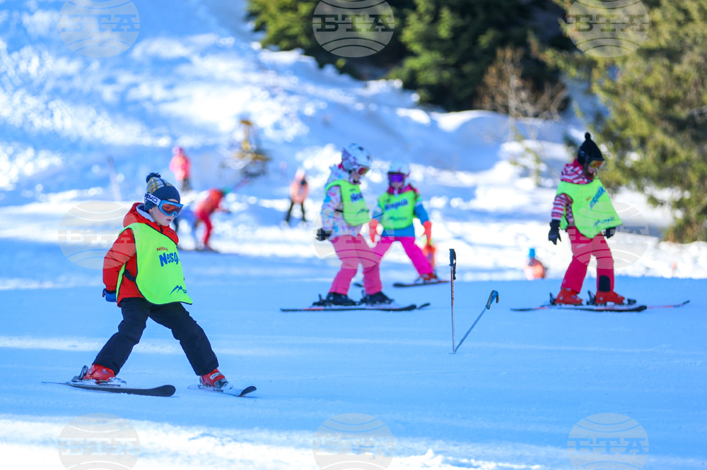Природен парк Витоша - зимен ден