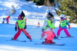 Природен парк Витоша - зимен ден