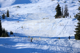 Природен парк Витоша - зимен ден