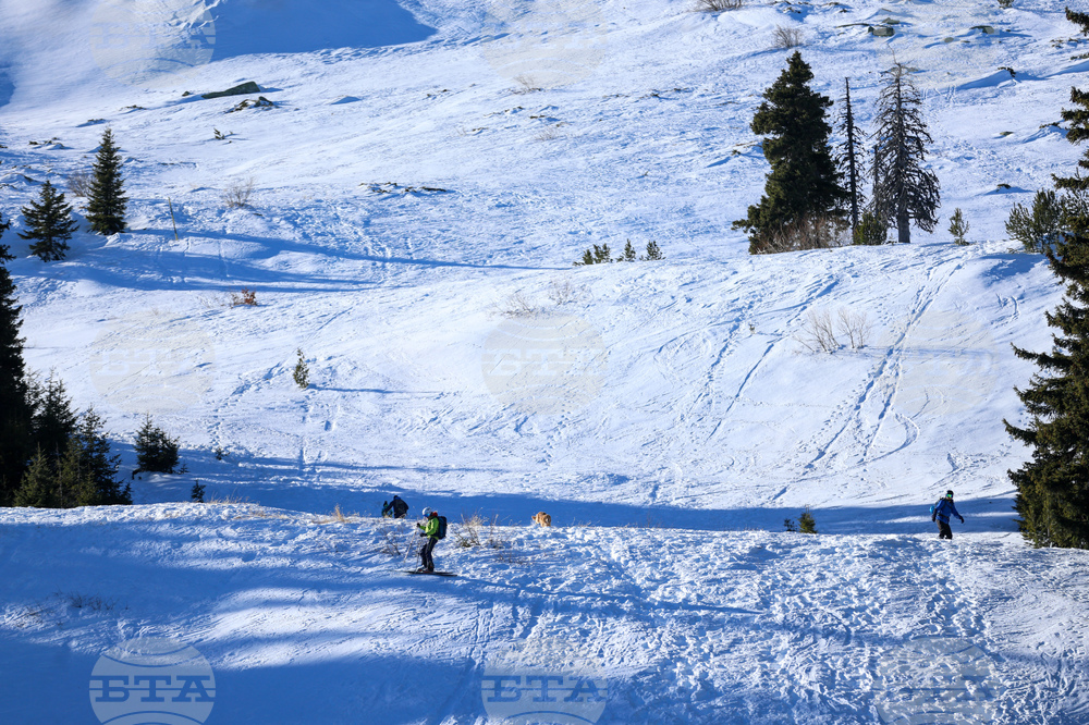 Природен парк Витоша - зимен ден