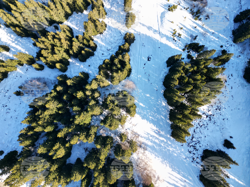 Природен парк Витоша - зимен ден - изглед