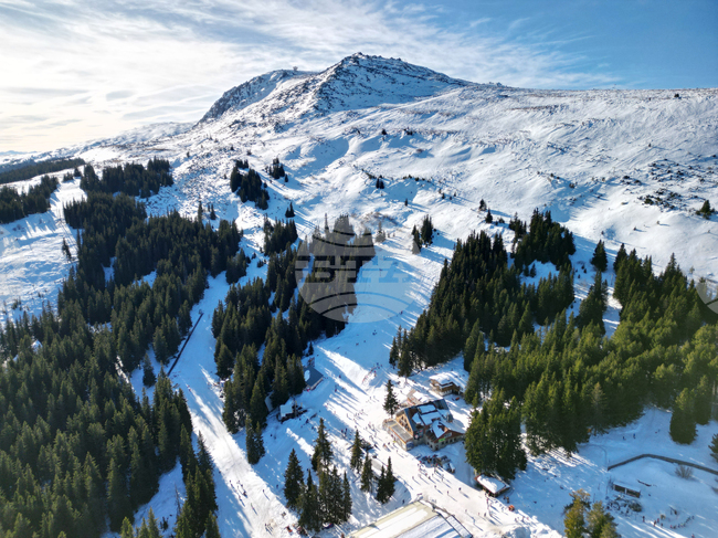 Двама недобре екипирани туристи са били транспортирани с шейни от планински спасители на Витоша