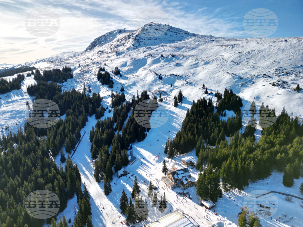 Природен парк Витоша - зимен ден - изглед