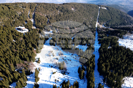 Природен парк Витоша - зимен ден - изглед