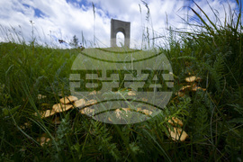 Троян - гъби