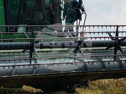 Заместник-министър Иван Христанов: За поредна година очакваме добра зърнена реколта