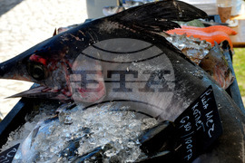 Бургас - Рибарско селище - рибен фестивал