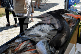 Бургас - Рибарско селище - рибен фестивал