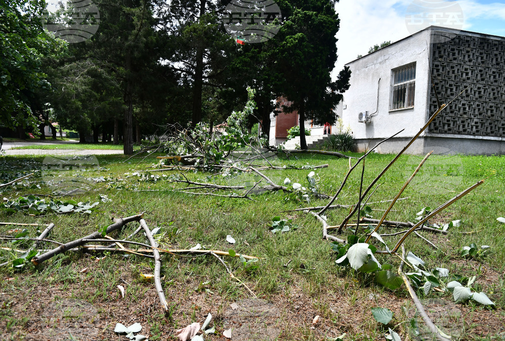 Исперих - дървета - вандализъм