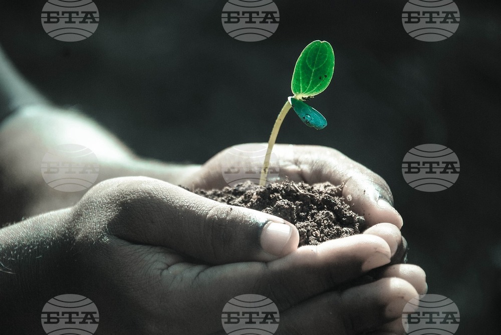 Norwegian-Bulgarian Chamber of Commerce to Host Forum on Green Growth Opportunities