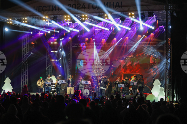 Новогодишен концерт