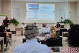 Видин - проект - представяне