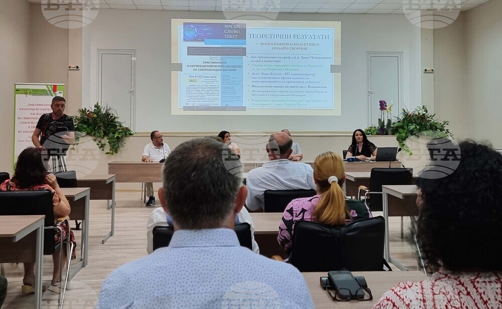 Видин - проект - представяне