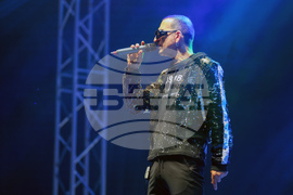 Новогодишен концерт