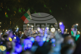 Новогодишен концерт