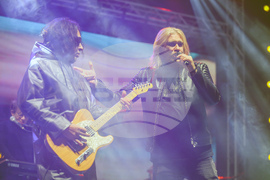 Новогодишен концерт