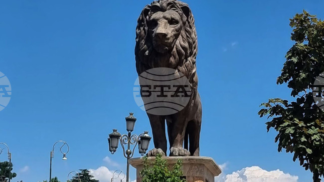 Коментари в Северна Македония за оставката на Радев и очакванията за бъдещето на двустранните отношения с България