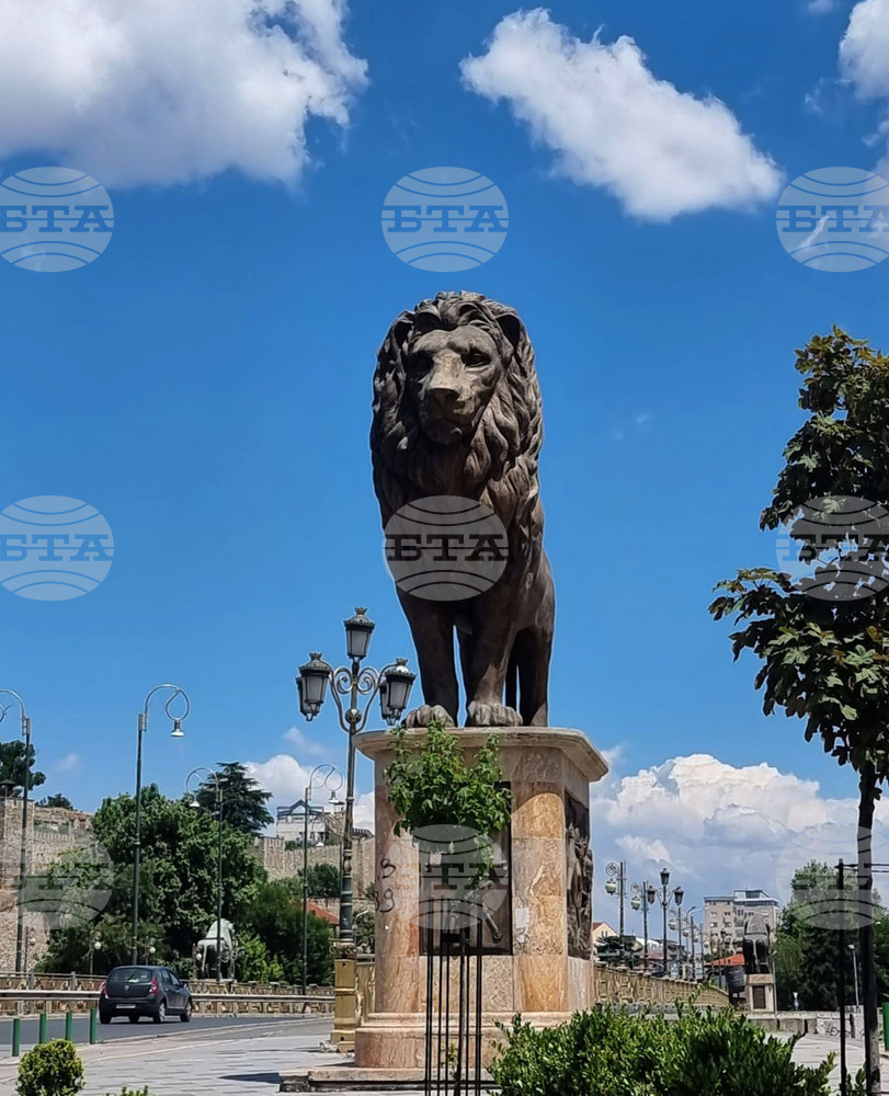 Граждански организации в Скопие ще правят партии, за да участват в местните избори в Северна Македония през есента