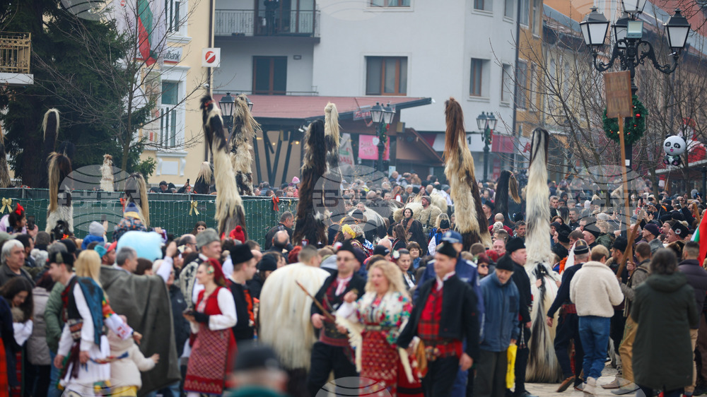 Разлог - Старчевата - фестивал