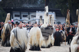 Разлог - Старчевата - фестивал