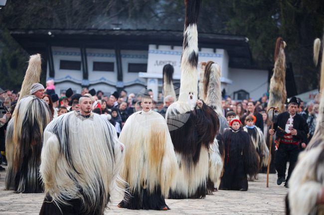 Конкурси, коледни работилници и кукерски карнавал предвижда програмата на община Разлог за празничния декември