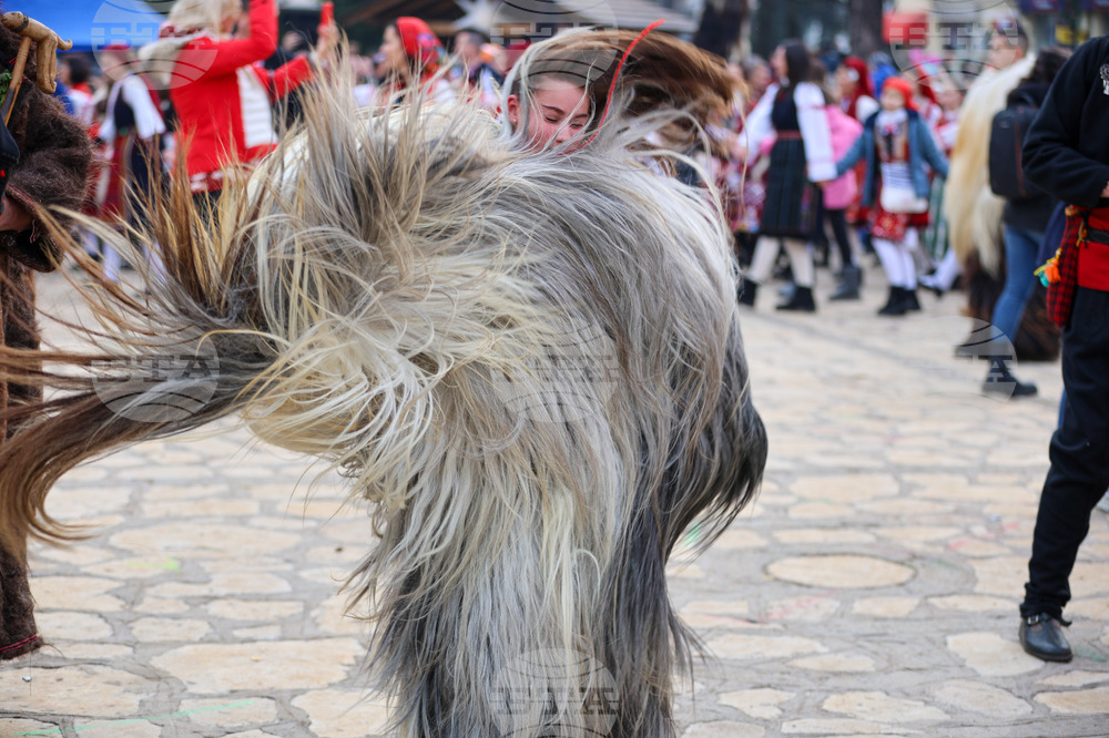 Разлог - Старчевата - фестивал