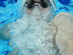 Hungary Swimming Worlds
