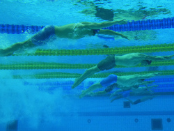 Hungary Swimming Worlds