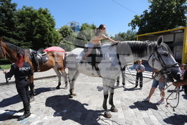 Ден на бащата - Национална кампания