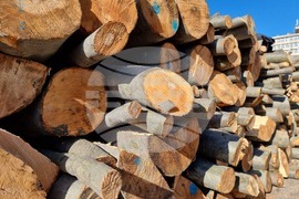 Благоевград - дърва за огрев - склад