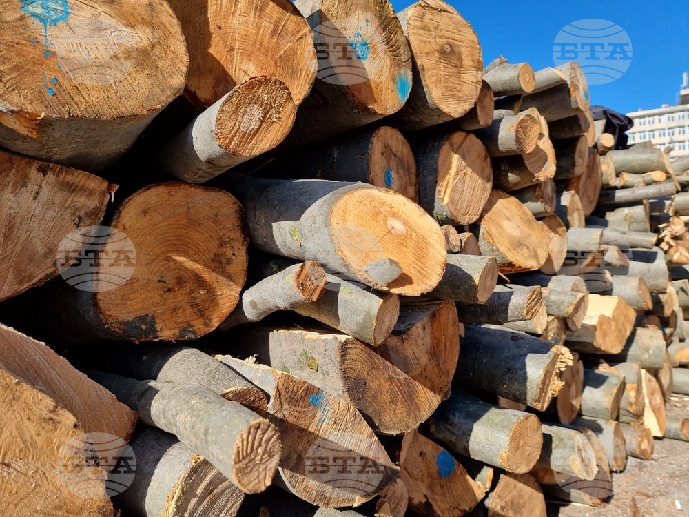 Благоевград - дърва за огрев - склад