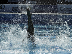 Hungary Swimming Worlds