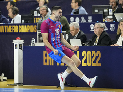Germany Handball Champions League