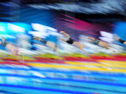 Hungary Swimming Worlds