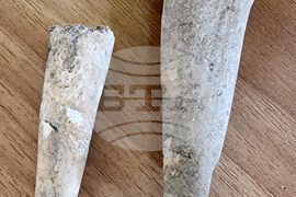 Варна - археология