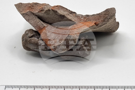 Варна - археология