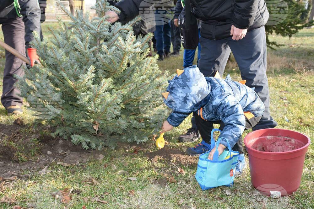 За втора поредна година се провежда инициативата „Коледа е, когато сме заедно“ в Поморие