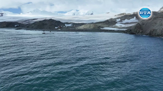 DIEL Sport Owner Lachezar Glavinov: There Should Be Symbiosis between Business and Science