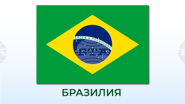 Осем творби на Анри Матис са откраднати от библиотека в Бразилия