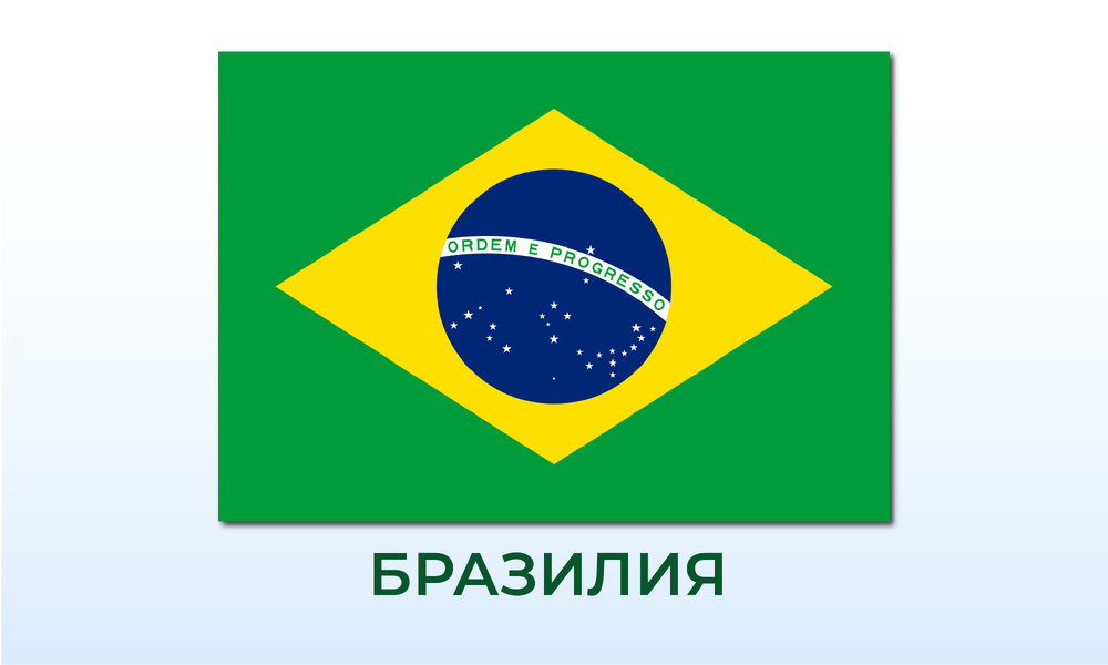 Осем творби на Анри Матис са откраднати от библиотека в Бразилия