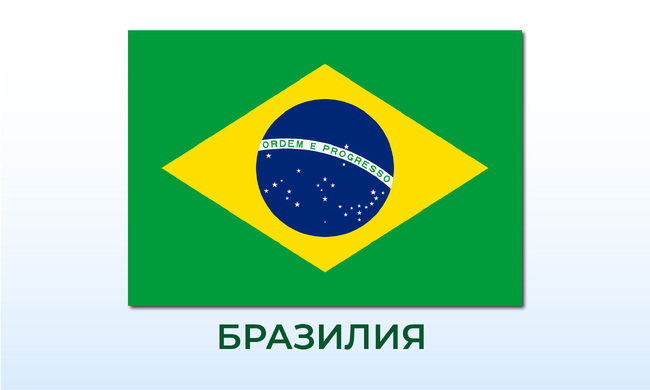 Осем творби на Анри Матис са откраднати от библиотека в Бразилия