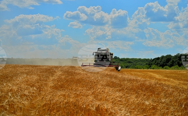 Службите на ЕК одобриха третото изменение на Стратегическия план за развитие на земеделието и селските райони 2023-2027 г., съобщи МЗХ