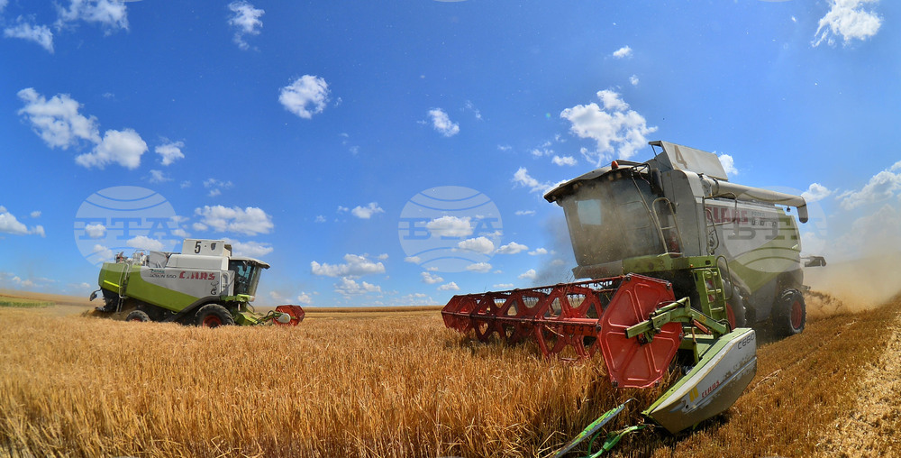 Село Малък Поровец - жътва