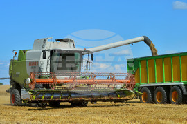 Село Малък Поровец - жътва